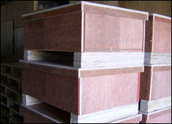 點擊(ji)放大(da)查看(kan)